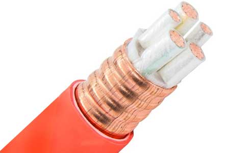 <a href='http://www.makerco.cn/kuangwuzhidianlan/' target='_blank'><u>礦物質(zhì)電纜</u></a>